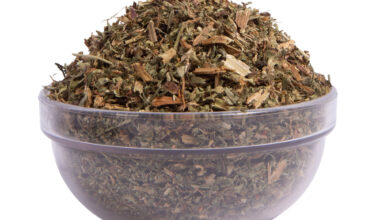 Λάμιο (ή Νεροτσουκνίδα ή Αρχάγγελος ή Λαβρόχορτο)