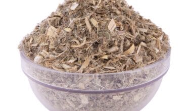 Αγιάγκαθο (ή Σταυράγκαθο ή Κνίκος-Κάρδος)