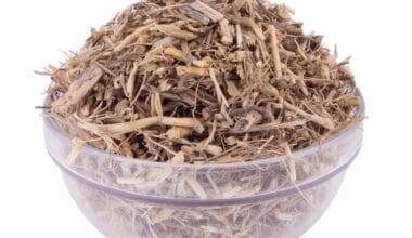 Αγριάδα (ή Αγρόπυρος)