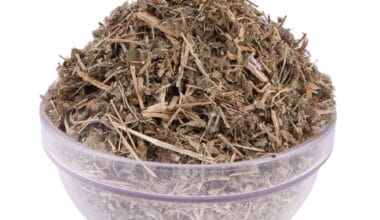 Αγριμόνιο (ή Ευπατόριο ή φωνόχορτο ή φονιάς)