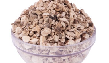 Άκορος (ή Κάλαμος)