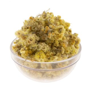 Αμάραντος (ή Ελίχρυσος)