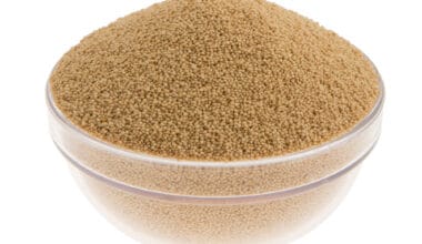 Αμάραντος (ή Ελίχρυσος) σπόρος