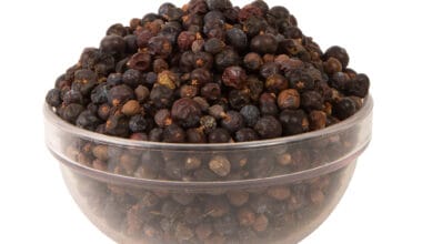 Άρκευθος (ή Κέδρος Κόκκινος)