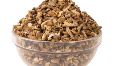 Άρκτιο (ή Κολιτσίδα)