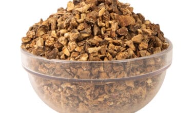 Αρπαγόφυτο (ή Ξύλινη Αράχνη ή Νύχι του Διαβόλου)