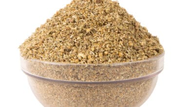 Αρτεμισία (ή Αψιθιά)