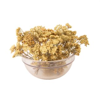 Αχιλλέα χιλιόφυλλος (ή Αγριαψιθιά)