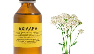 Αχιλλέας φυτικό έλαιο 100ml