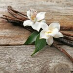 Βανίλια φυσική σε στικ 1 τεμ. - Image 2