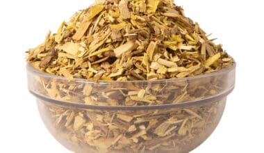 Βέρβερη (ή Βερβερίδα)