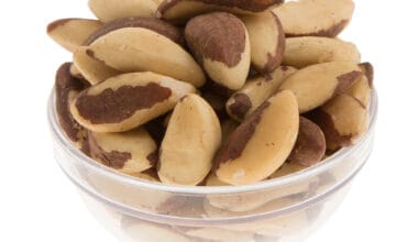 Brazil nut (μπραζίλ νατ)