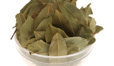 Δάφνη χειροδιαλεχτή