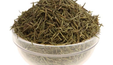 Δεντρολίβανο