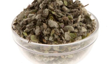 Δίκταμο 20 γρ.