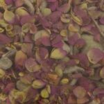 Δίκταμο Σφακίων Κρήτης 15 γρ. - Image 2