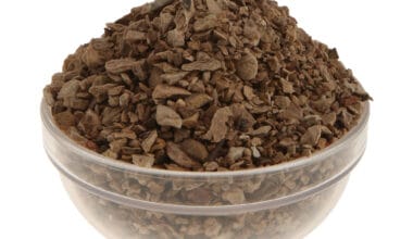 Διοσκουρία (ή Άγριο/Τετράφυλλο Γιαμ ή Ρίζα Κολικού/Ρευματισμού ή Οστά του Διαβόλου) ρίζα