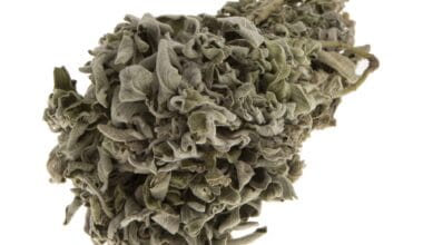 Φασκόμηλο (ή Σάλβια) ματσάκι 100 γρ.