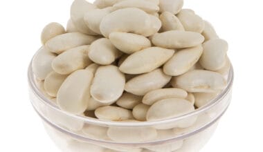 Φασόλια γίγαντες (Δυτικής Μακεδονίας)