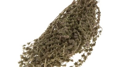 Φλισκούνι ματσάκι 50 γρ.