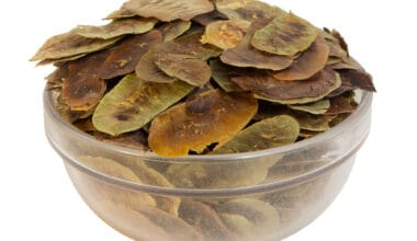 Φύλλα Αιγύπτου (Σέννα)