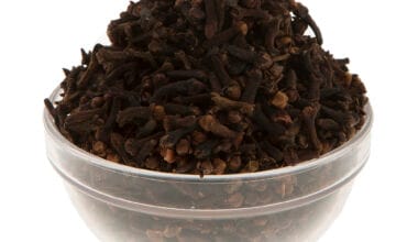 Γαρύφαλλο ολόκληρο