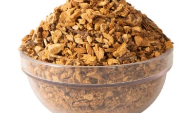 Γεντιανή (άγρια πιπεριά)