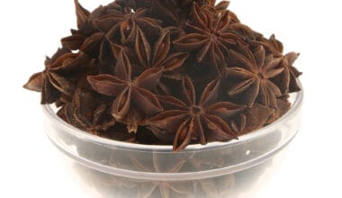 Γλυκάνισος αστεροειδής