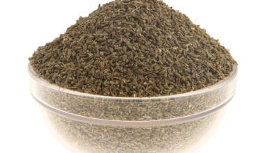 Γλυκάνισος ολόκληρος