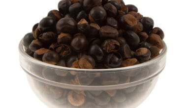 Γκουαρανά (Guarana) σπόροι