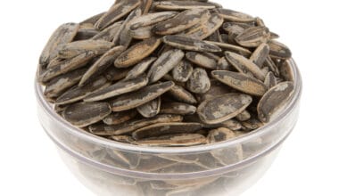 Ηλιόσπορος ψημένος με αλάτι