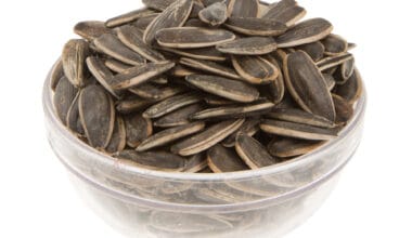 Ηλιόσπορος ψημένος χωρίς αλάτι