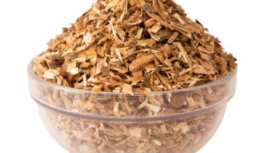 Ιτιά φλοιός