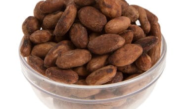 Κακάο σπόροι