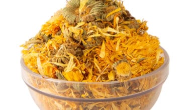 Καλέντουλα