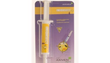 Κατσαριδοκτόνο δόλωμα ζελέ σε σύριγγα Imidasect 10 γρ.