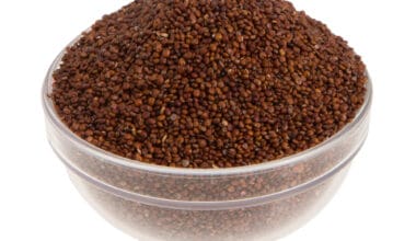 Κινόα κόκκινη