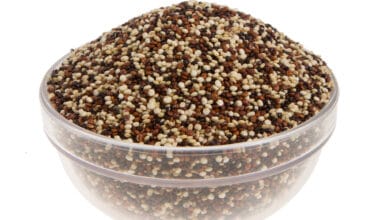 Κινόα τρίχρωμη