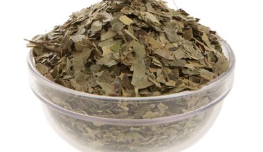 Κισσός φύλλα τριμμένα