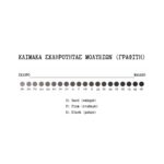 Μολύβι απλό σχεδίου Eberhard Faber 5111 B κουτί 12 τεμ. - Image 3