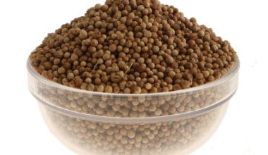 Κόλιανδρος ολόκληρος