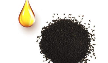 Κύμινο μαύρο φυτικό έλαιο (ψυχρής έκθλιψης) 1 λίτρο