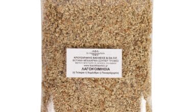 Λαγοκοιμηθιά (ή Τεύκριο ή Χαμένδρο ή Παναγιόχορτο) 50 γρ.