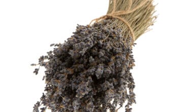 Λεβάντα ματσάκι διακοσμητική/αρωματική 100 γρ.