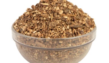 Μανδραγόρας