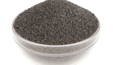 Μηκονόσπορος (ή Παπαρουνόσπορος)