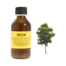 Neem (ή Ινδική Πασχαλιά) φυτικό έλαιο 100ml