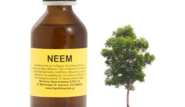 Neem (ή Ινδική Πασχαλιά) φυτικό έλαιο 100ml