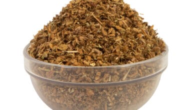 Πιλοσέλα (ή Ιεράκιο ή Γερακόχορτο)