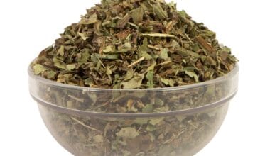 Πνευμονόχορτο (ή Πουλμονάρια)